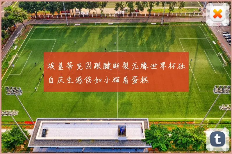 埃基蒂克因跟腱断裂无缘世界杯独自庆生感伤如小猫看蛋糕