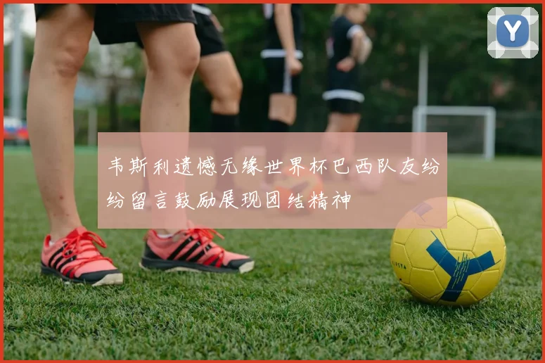 韦斯利遗憾无缘世界杯巴西队友纷纷留言鼓励展现团结精神